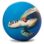 Sealife Foam Soft Stress Ball - Assorted Designs (1 Supplied)
